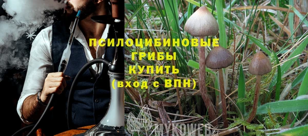 соль ск Богданович