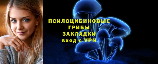 хмурый Богородицк