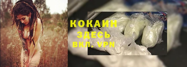 хмурый Богородицк