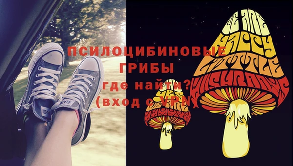 хмурый Богородицк